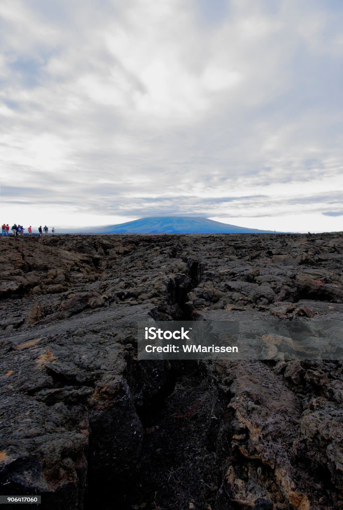 Lava rock landscape with group of tourists, Punta Moreno, Isabela island, Galapagos Islands, Ecuador Sierra Negra Stock Photo