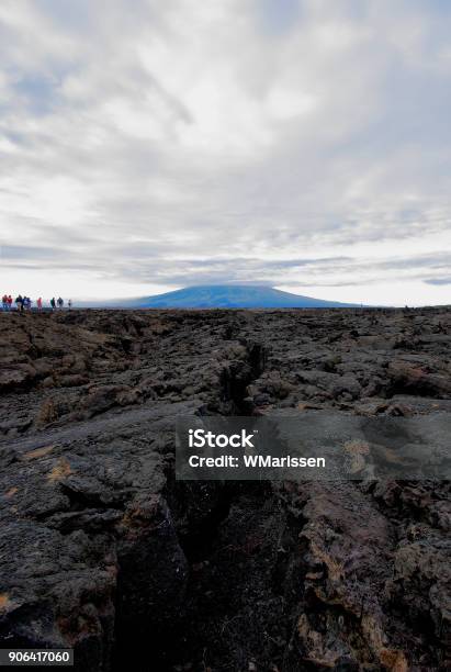 Lava Rock Landscape With Group Of Tourists Punta Moreno Isabela Island Galapagos Islands Ecuador Stock Photo - Download Image Now