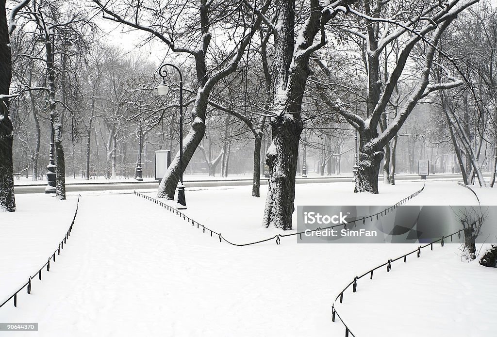 Parque de inverno - Foto de stock de Abandonado royalty-free