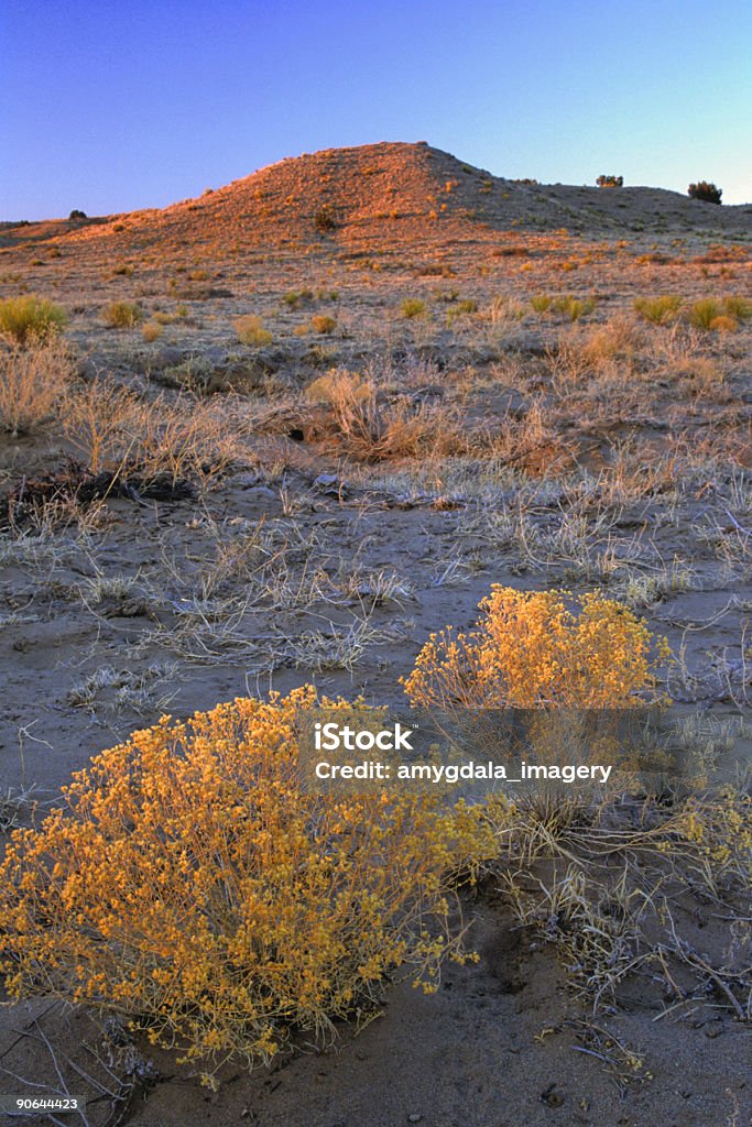 high Wüste Sonnenuntergang - Lizenzfrei Anhöhe Stock-Foto