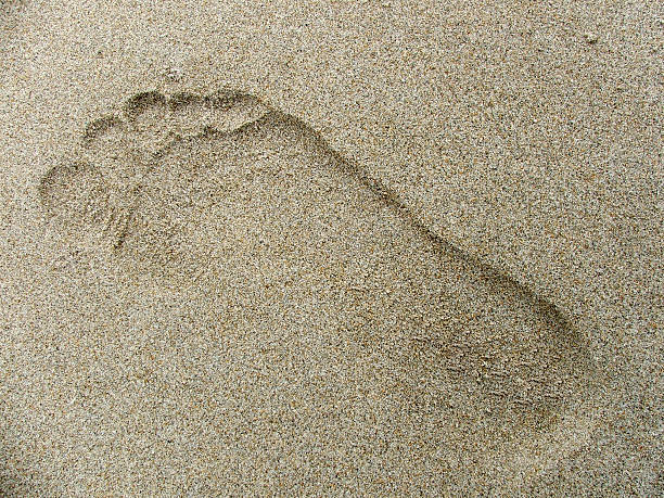 istock Footprint in the sand 90644644