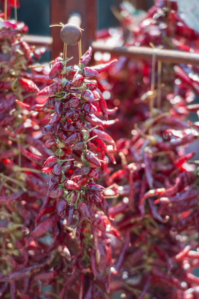 istock Traditional Hungarian spicy pepper 