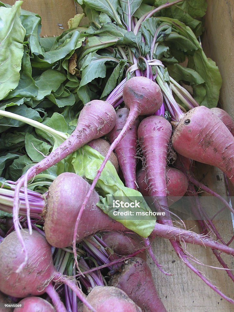 Fresh Organic Chioggia Beets  Autumn Stock Photo