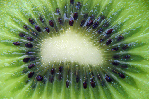 Cross cut of a fresh Kiwi fruit