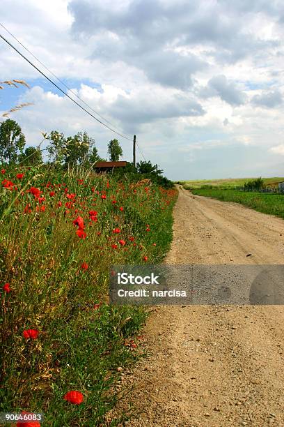 Foto de Caminho Para O Céu e mais fotos de stock de Casa - Casa, Cena Rural, Colorido