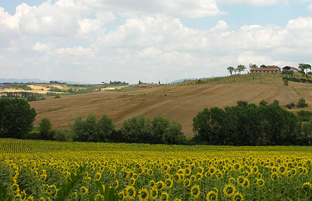 paisagem toscana - roman agora - fotografias e filmes do acervo