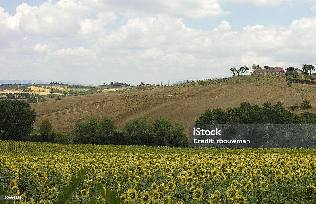 Тоскана пейзаж - Стоковые фото Без людей роялти-фри