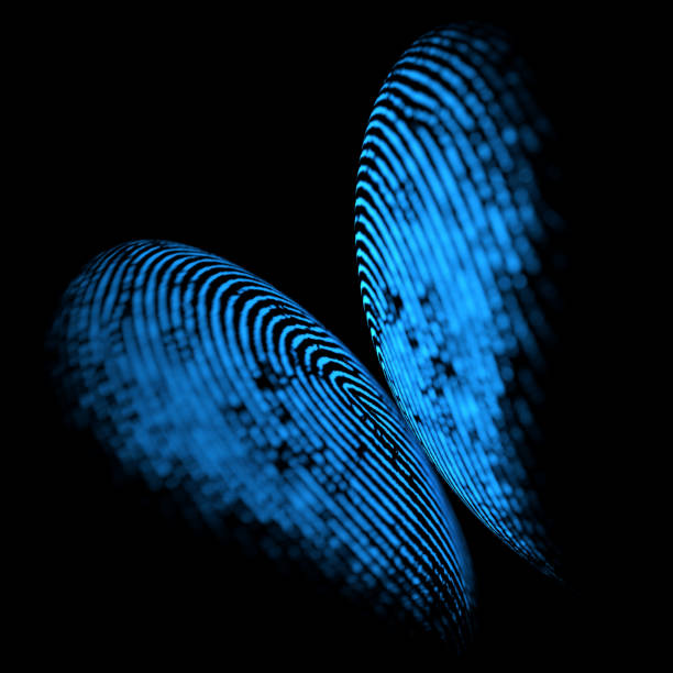 istock Holographic Fingerprint Butterfly Shape 906464534