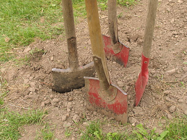 łopaty spotkania - gardening humor meeting conference call zdjęcia i obrazy z banku zdjęć