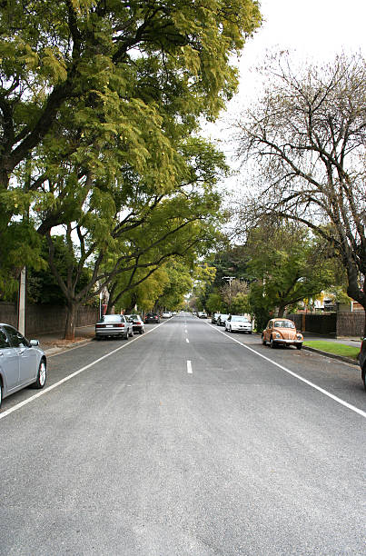 istock Suburban Australian street 90646877