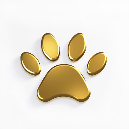Golden Paw Pet. Concept for a Veterinarian Exclusive Practice