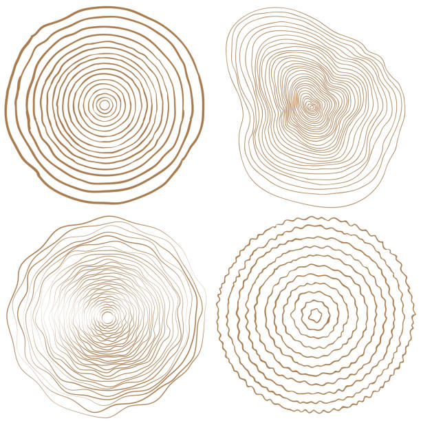 векторное дерево кольца фон и увидел вырезать ствол дерева - natural wood stock illustrations