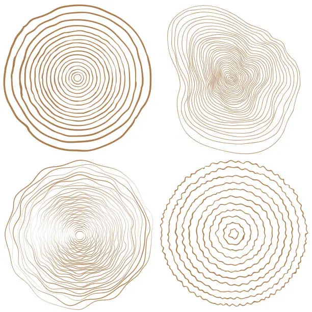 Vector illustration of vector tree rings background and saw cut tree trunk
