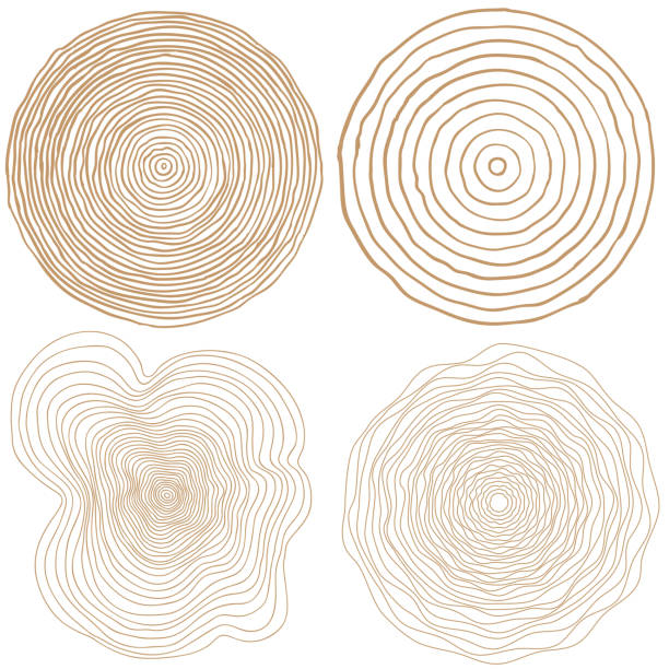 ilustrações, clipart, desenhos animados e ícones de vetorial fundo de anéis de árvore e serra cortar elementos gráficos conceitual de tronco de árvore - organic shapes