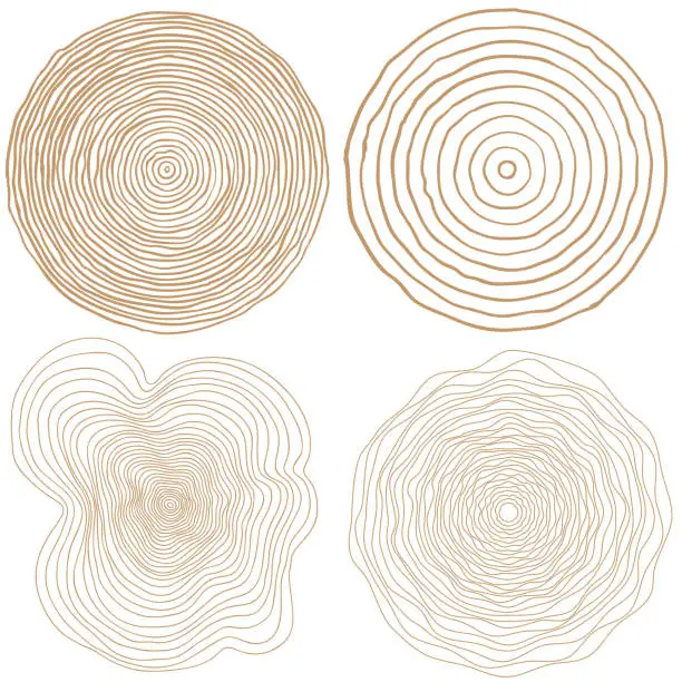 Vector illustration of vector tree rings background and saw cut tree trunk Conceptual graphics