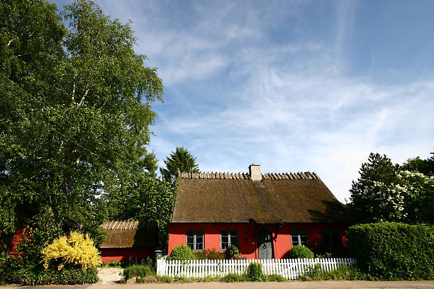 la red house - denmark house cottage rural scene fotografías e imágenes de stock