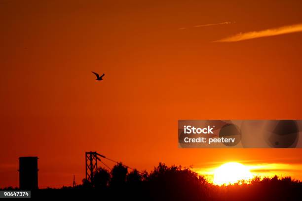 Industrial Tramonto - Fotografie stock e altre immagini di Alba - Crepuscolo - Alba - Crepuscolo, Ambientazione esterna, Ambiente