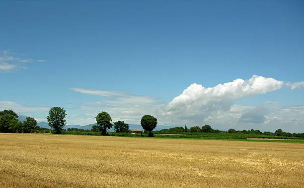 Italian farmland