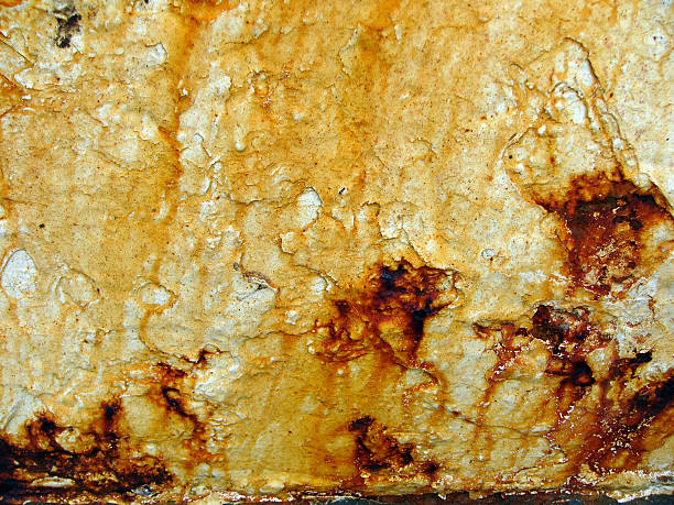 Rusted Monkey 190+ Monkie Stock Photos, Pictures & Royalty-Free Images - iStock