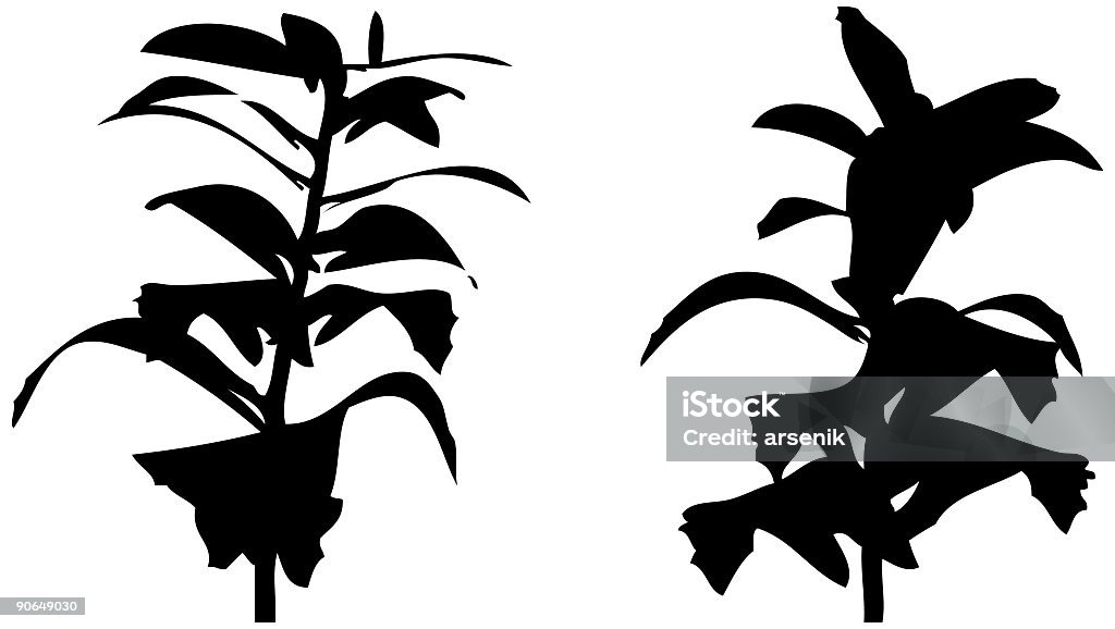 ベクトル植物のシルエット - イラストレーションのロイヤリティフリーストックイラストレーション