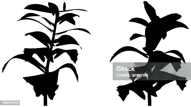Roślina Sylwetka Wektor - Stockowe grafiki wektorowe i więcej obrazów Atrament - Atrament, Bez ludzi, Białe tło