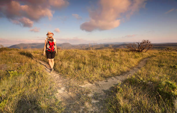 istock Hiker in the mountains 906492860