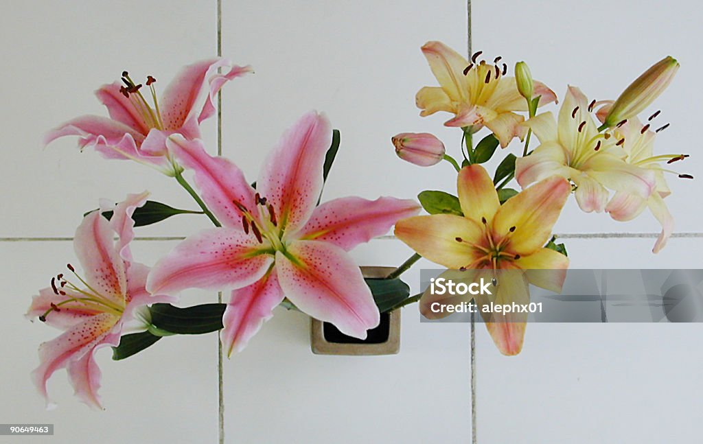 Lilien auf Fliesen - Lizenzfrei Blume Stock-Foto