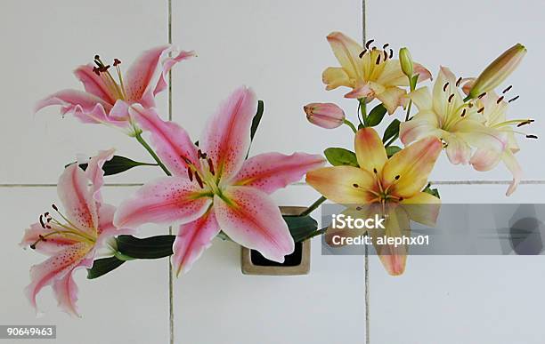 Foto de Lírios Em Azulejo e mais fotos de stock de Azulejo - Azulejo, Flor, Flora