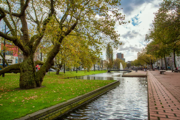 istock Rotterdam city center park 906495234