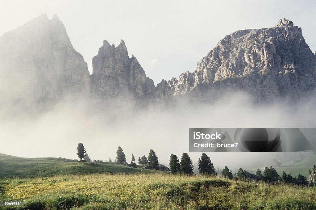 Mountain Mist - Lizenzfrei Baum Stock-Foto