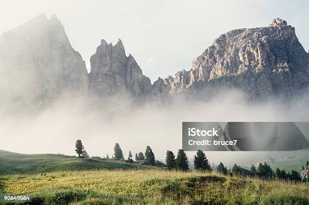 Mountain Mist Stockfoto und mehr Bilder von Baum - Baum, Berg, Farbbild