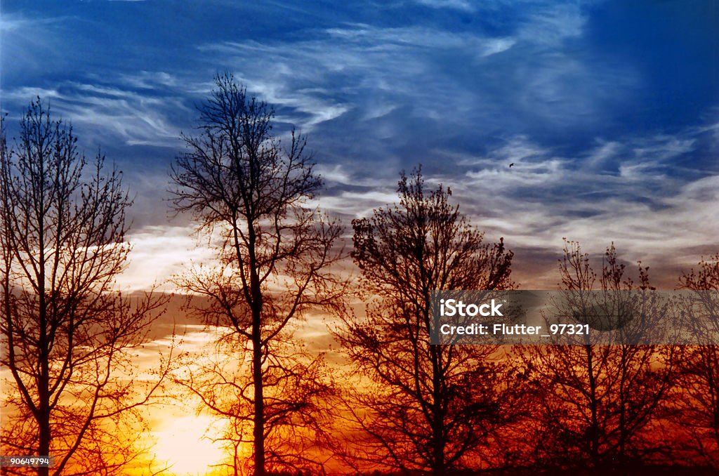 Atardecer de invierno - Foto de stock de Amarillo - Color libre de derechos