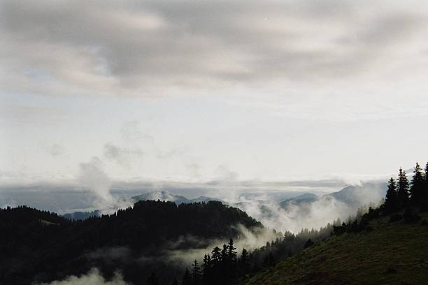 istock Foggy Mountain - Karadeniz - Turkey 90650782