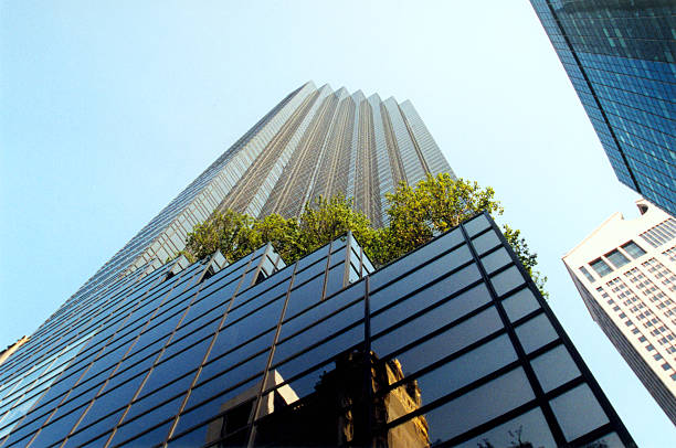 istock Skyscraper with trees and glass facade in New York 90651284