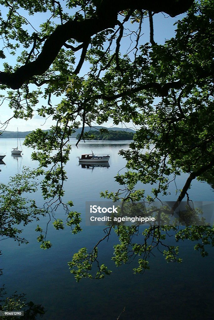 Fogliame telaio sul lago - Foto stock royalty-free di Acqua