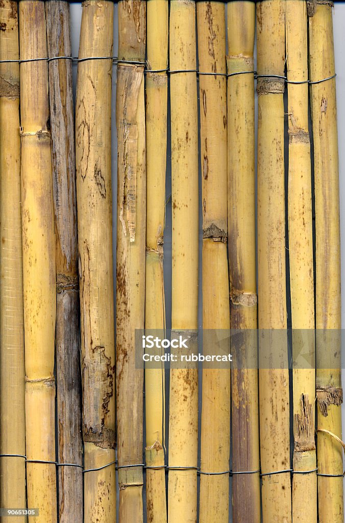 중진공상태 대나무 얇게 - 로열티 프리 규모 스톡 사진