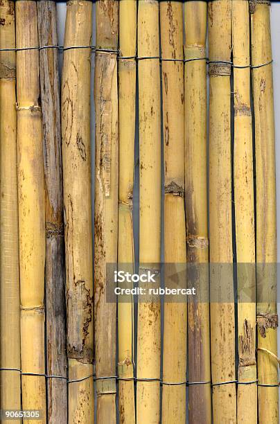 중진공상태 대나무 얇게 규모에 대한 스톡 사진 및 기타 이미지 - 규모, 대나무-재료, 사진-이미지