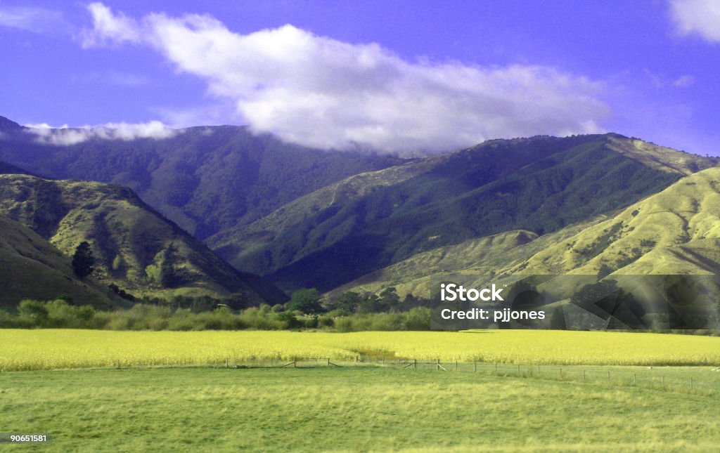 colourful landscape  Agricultural Field Stock Photo