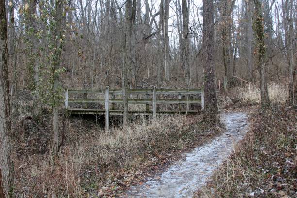 istock Side View of Wooden Bridge 906517022