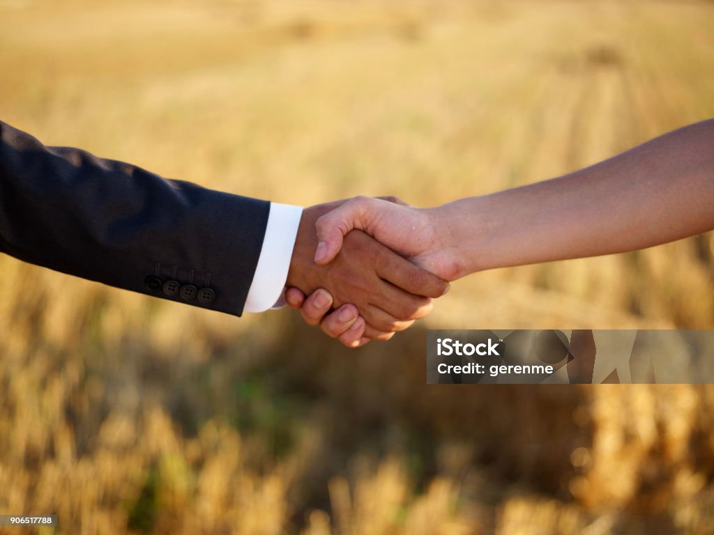 agricultural handshake businessman handshaking in front of a wheat field Agriculture Stock Photo