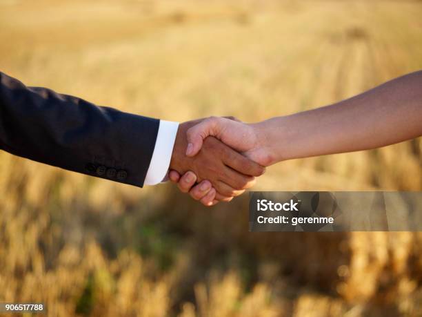 Agricultural Handshake Stock Photo - Download Image Now - Agriculture, Farmer, Holding Hands