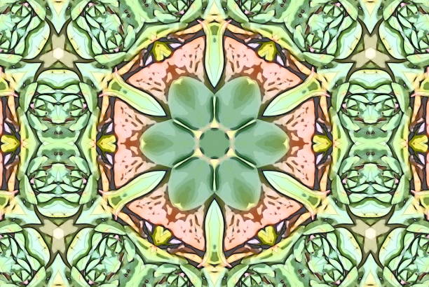 istock Creative Nature Inspired Mandalas in a Sketch Style 906522818