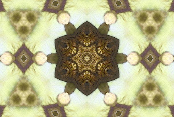 istock Creative Nature Inspired Mandalas in a Sketch Style 906522998