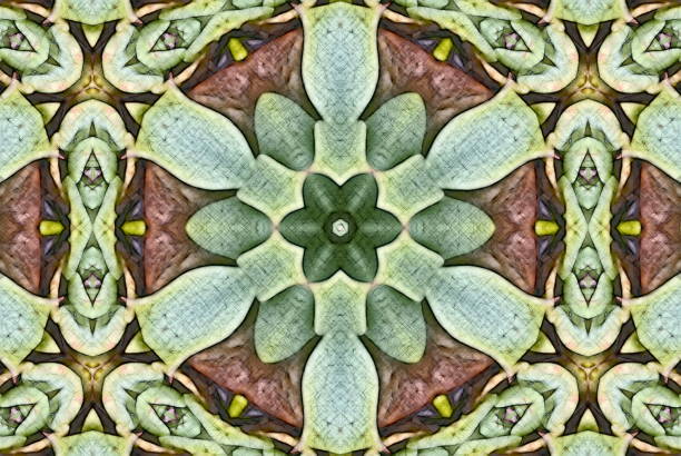 istock Creative Nature Inspired Mandalas in a Sketch Style 906523118