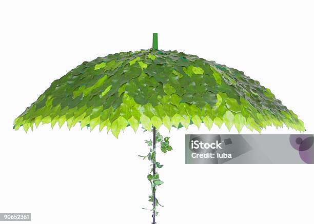 Leaf Parasol - zdjęcia stockowe i więcej obrazów Bez ludzi - Bez ludzi, Fotografika, Horyzontalny