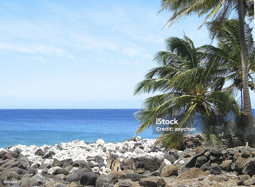 Große Insel Hawaii Strand - Lizenzfrei Baum Stock-Foto