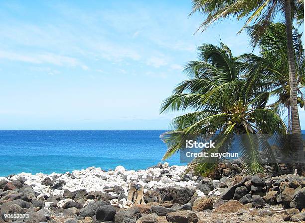 Große Insel Hawaii Strand Stockfoto und mehr Bilder von Baum - Baum, Big Island - Insel Hawaii, Farbbild
