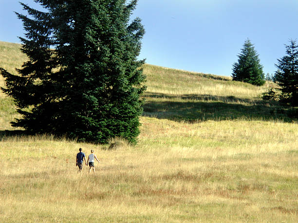 trail per la parte superiore - corvallis foto e immagini stock