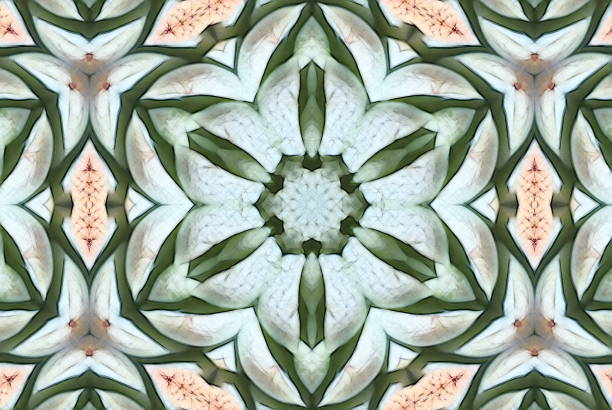 istock Creative Nature Inspired Mandalas in a Sketch Style 906525204