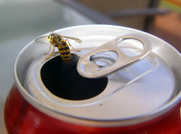 istock Bee Coming Out of Soda Can 90652559
